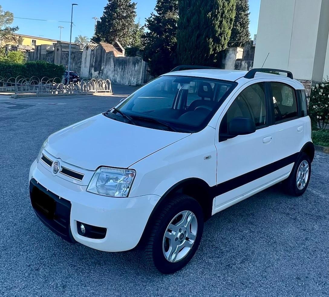Fiat Panda 1.3 MJT 16V DPF 4x4 Climbing