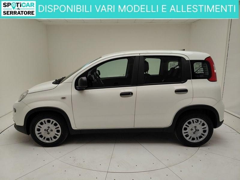 FIAT Panda Serie 7 1.0 70cv HybridPanda