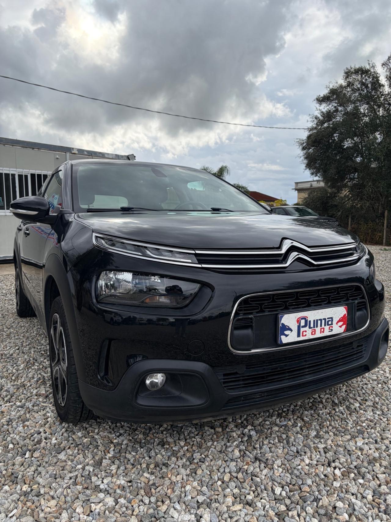Citroen C4 Cactus BlueHDi 100 S&S Shine Pack