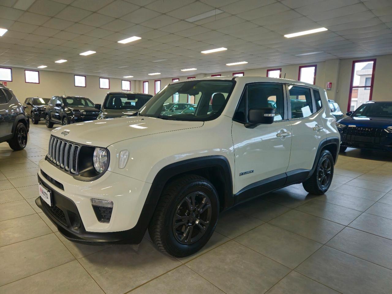 Jeep Renegade 1.6 Mjt 130 CV Longitude Autocarro N1 - 5 posti