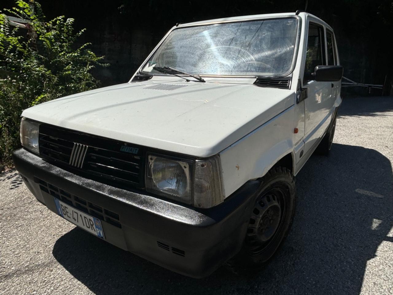 Fiat Panda 900 i.e. cat Young