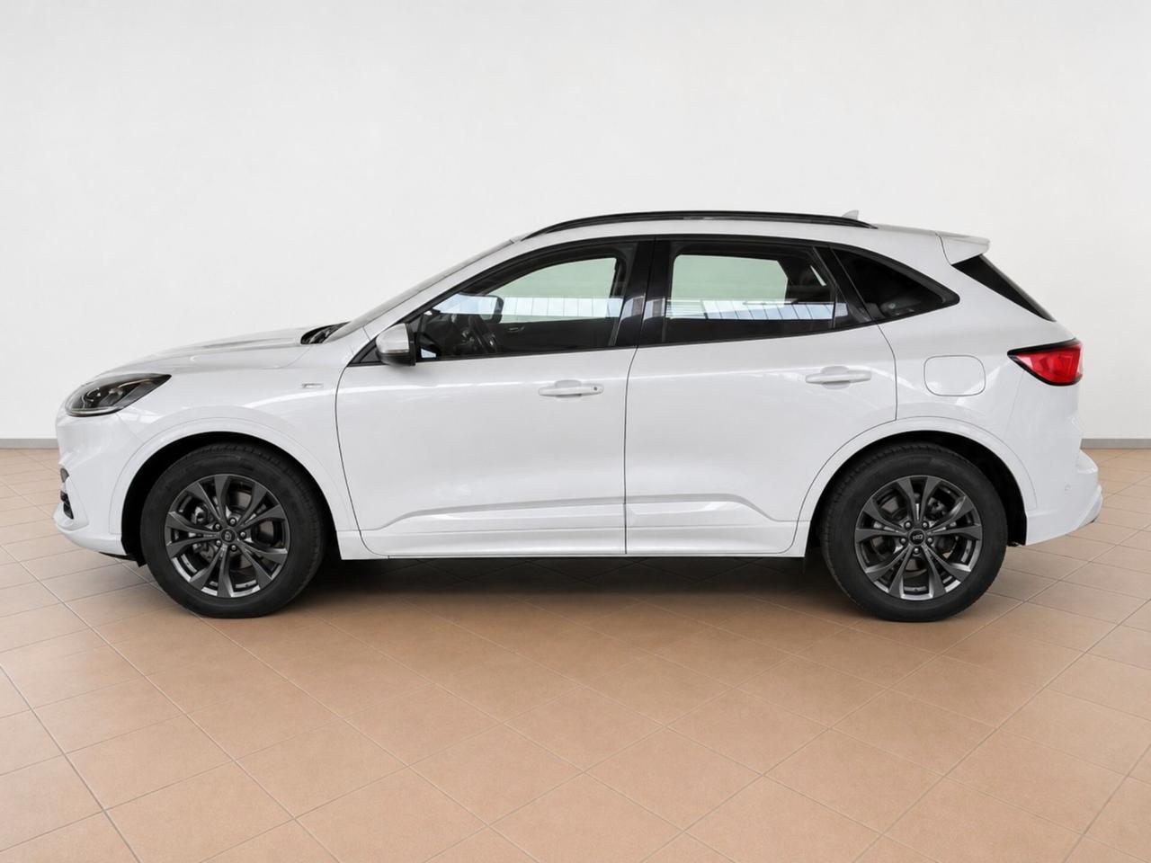 Ford Kuga 2.0 EcoBlue 150 CV aut. AWD ST-Line