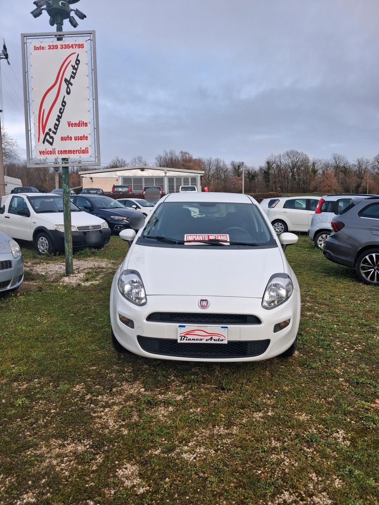 Fiat Punto 1.4 8V 5 porte Natural Power