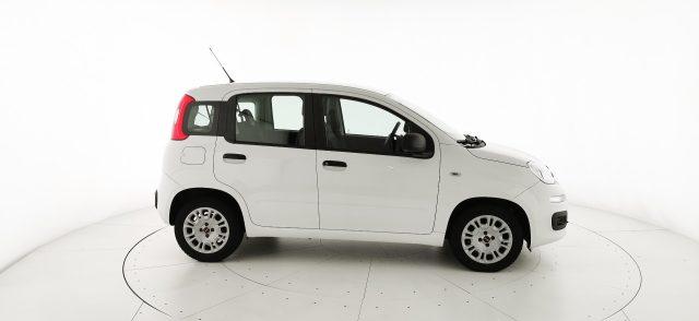 FIAT Panda 1.3 MJT S&S Easy Van 4 posti - PREZZO+IVA
