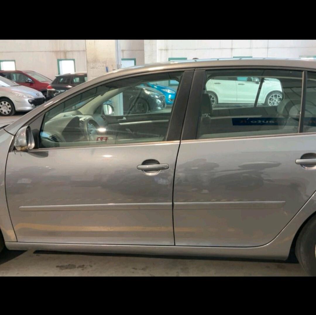 Volkswagen Golf 1.9 TDI DPF 5p. Comfortline 2008