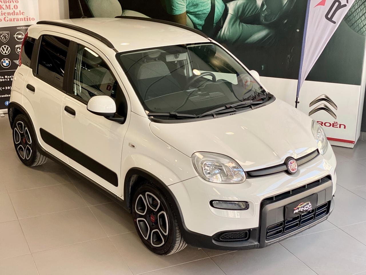 Fiat Panda 1.0 FireFly S&S Hybrid 70 CV City Life