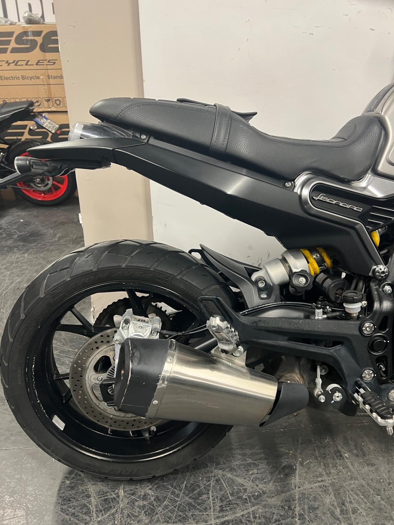 Benelli Leoncino 800