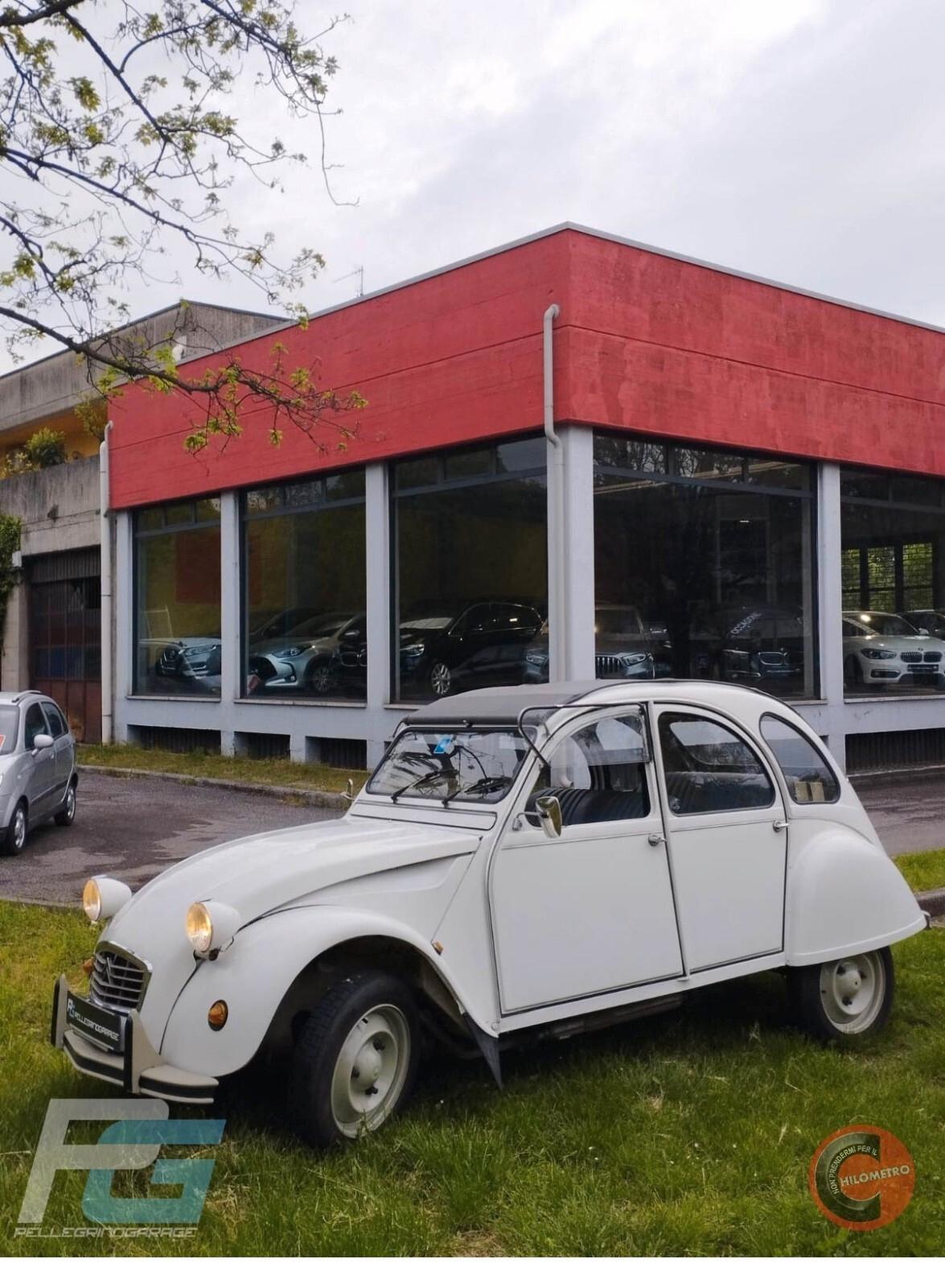 Citroen 2CV special