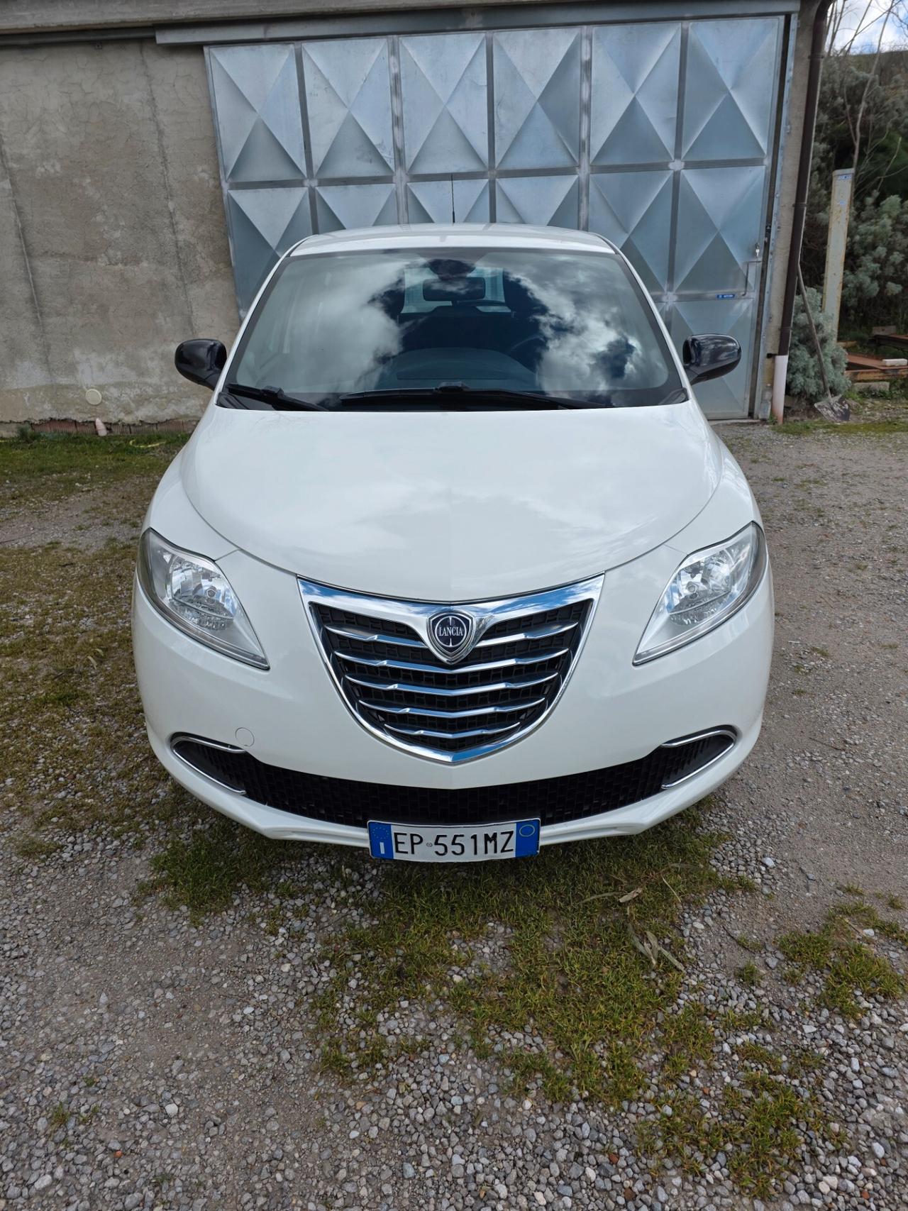 Lancia Ypsilon 1.3 MJT 16V 95 CV 5 porte S&S Platinum