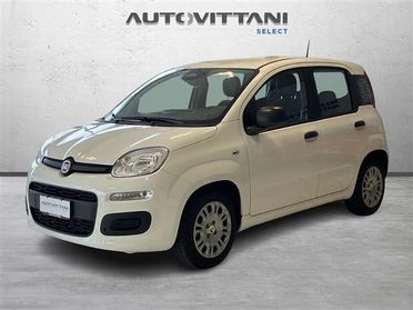 FIAT Panda Pandina 1.0 FireFly Hybrid 65cv Icon S&S 5p.ti