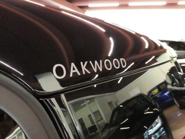 MINI Countryman 1.5 Oakwood Ed. 136 Cv - Tetto, Pelle, Navi, LED