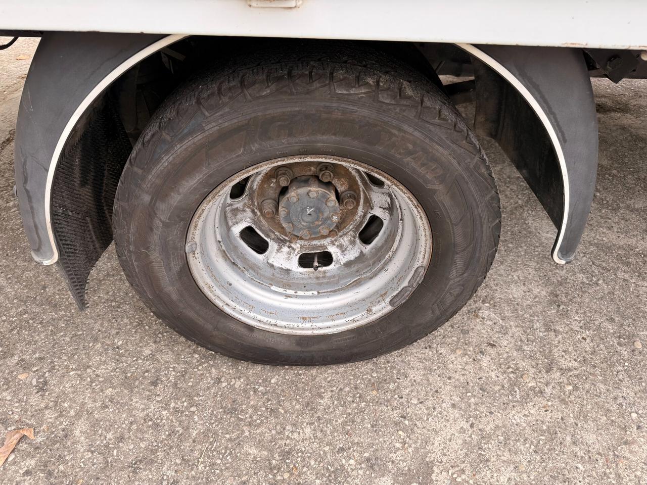 Iveco daily 35C15 (3.0) Cassone fisso IVA COMPRESA