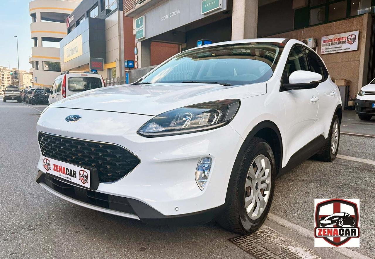 Ford Kuga 1.5 EcoBlue 120 CV 2WD Titanium