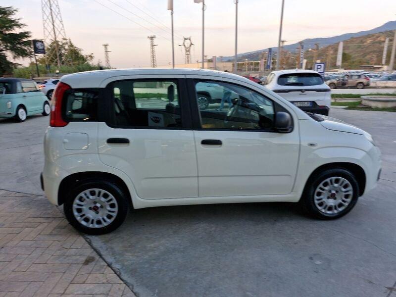 FIAT Panda III 2016 1.2 Easy s&s 69cv my19