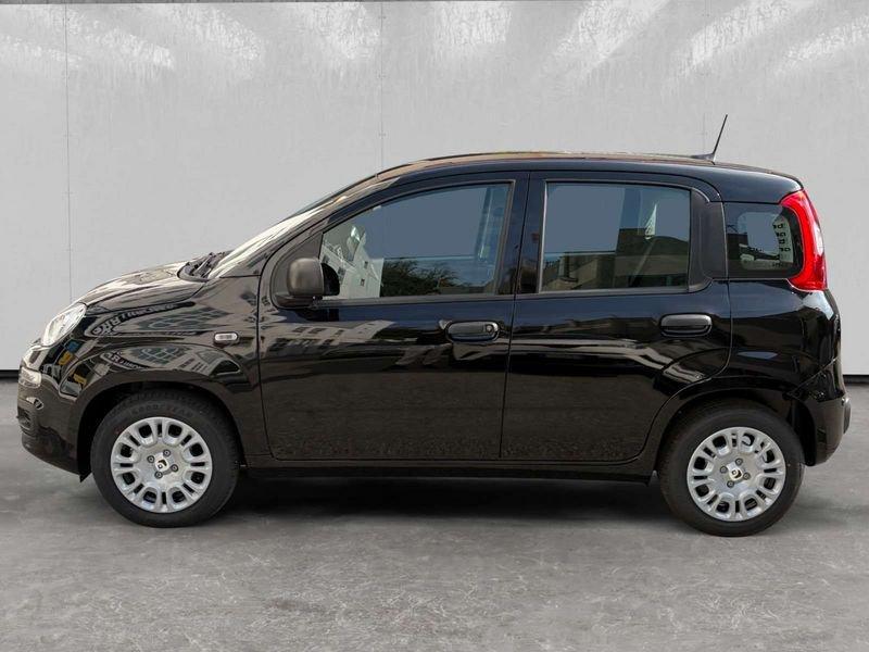 FIAT Pandina 1.0 firefly hybrid Icon s&s 70cv