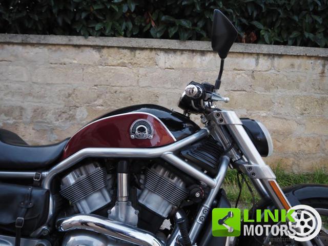 HARLEY-DAVIDSON 1130 V-ROD - VRSCR Street Rod