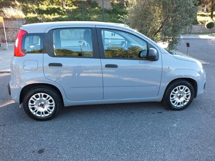 Fiat Panda 1.0 FireFly Hybrid*SOLO 59.000KM*UNIPRO*