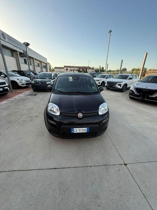 FIAT Panda NEW 1.0 70cv Hybrid PANDA