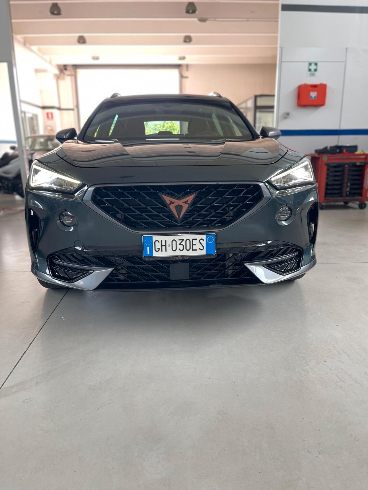 Cupra Formentor 2.0 TDI 4Drive DSG