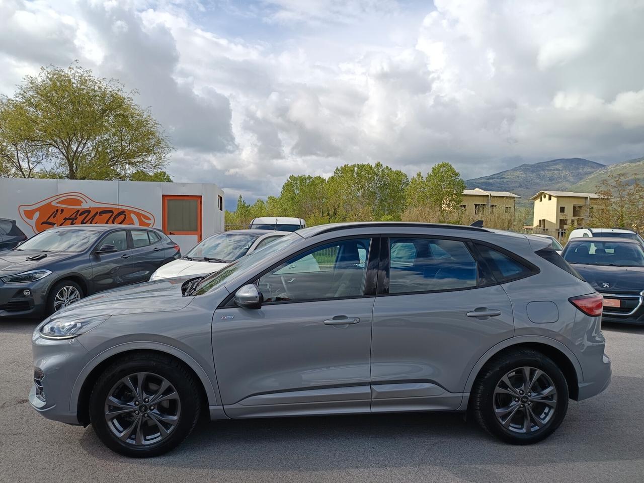 Ford Kuga 2.0 EcoBlue 120 CV aut. 2WD ST-Line