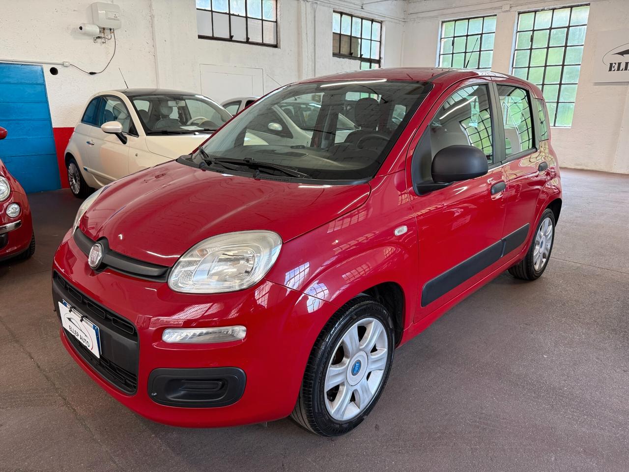 Fiat Panda 1.2 OK NEOPATENTATI - CINGHIA OK