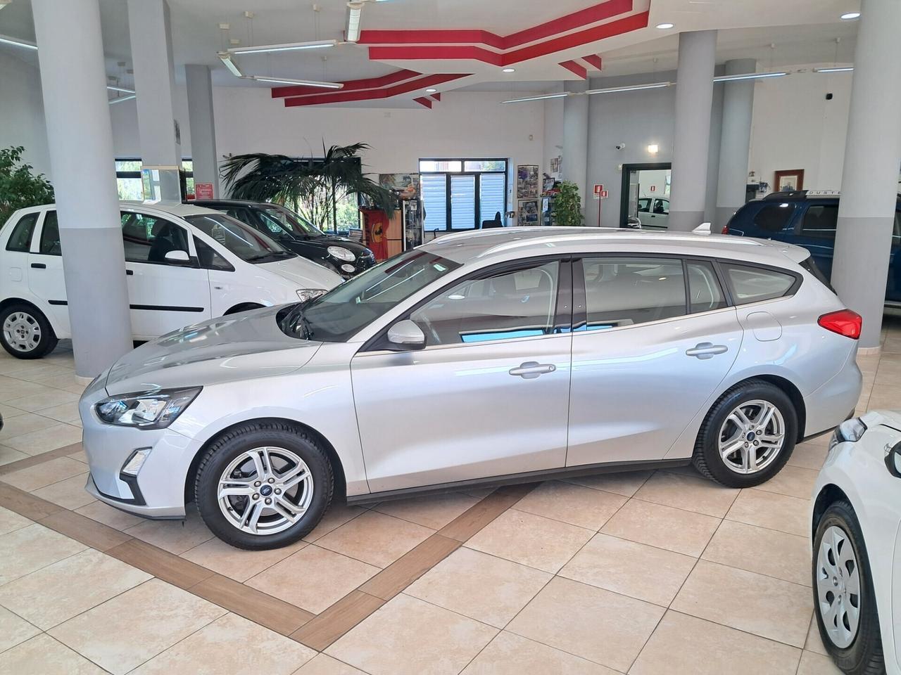 Ford Focus 1.5 EcoBlue 120 CV SW Business