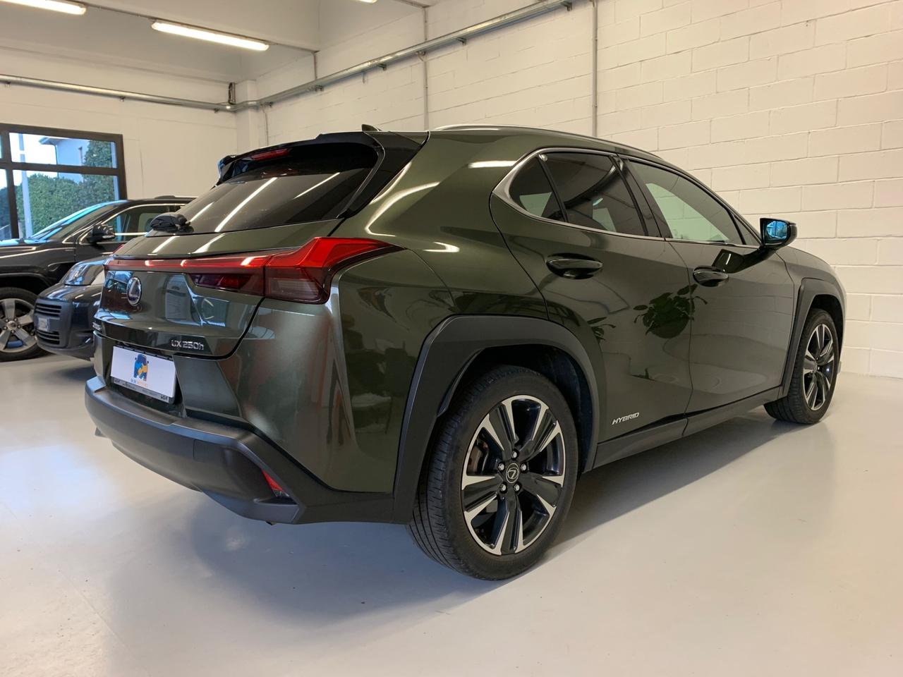 Lexus UX Hybrid 4WD Luxury 2.0 CV 184