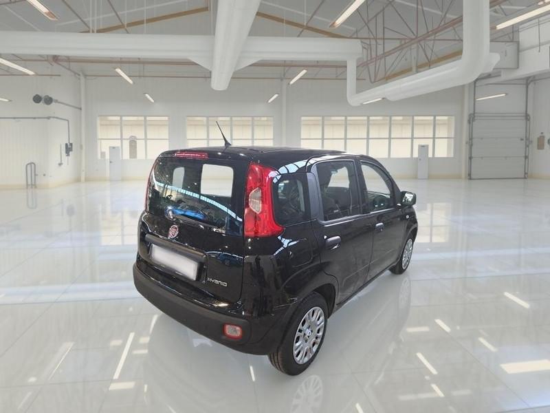 FIAT PANDA 1.0 FireFly 70cv S/S Hybrid 5 PORTE