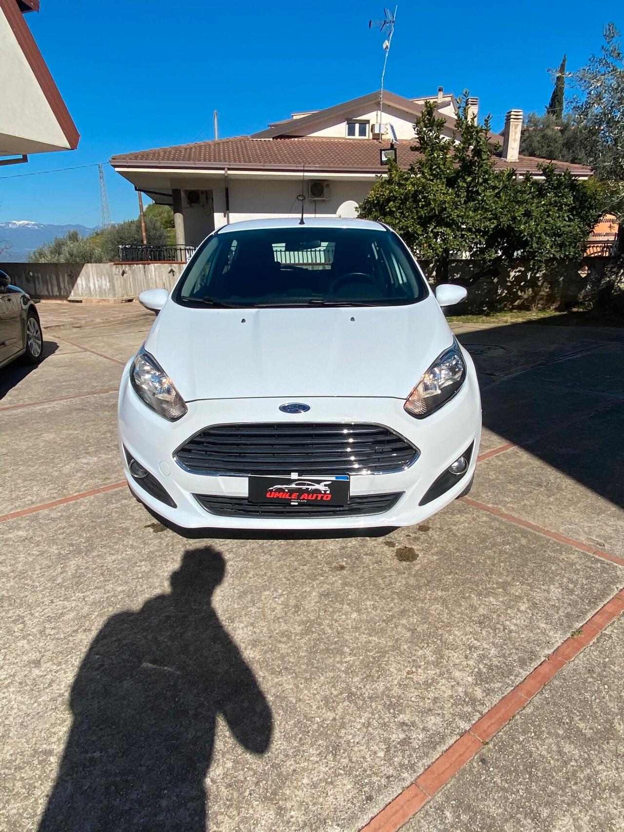 Ford Fiesta 1.5 TDCi 75CV 5 porte Titanium