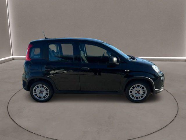 FIAT Panda 3ª serie - 1.0 FireFly S&S Hybrid