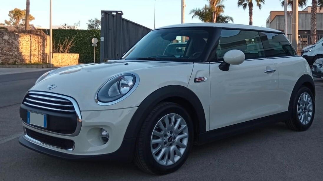 Mini 1.5 One D