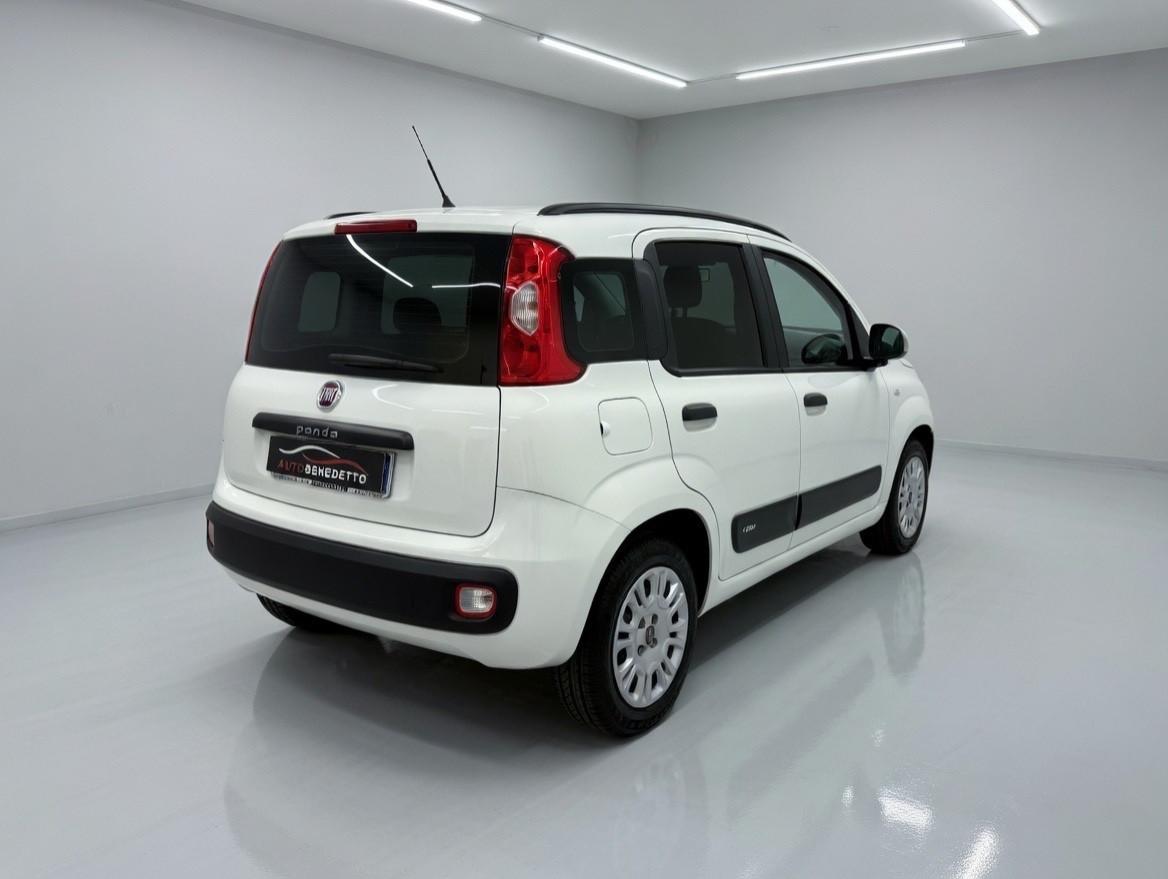 Fiat Panda 1.2 Lounge 69cv 11.2019