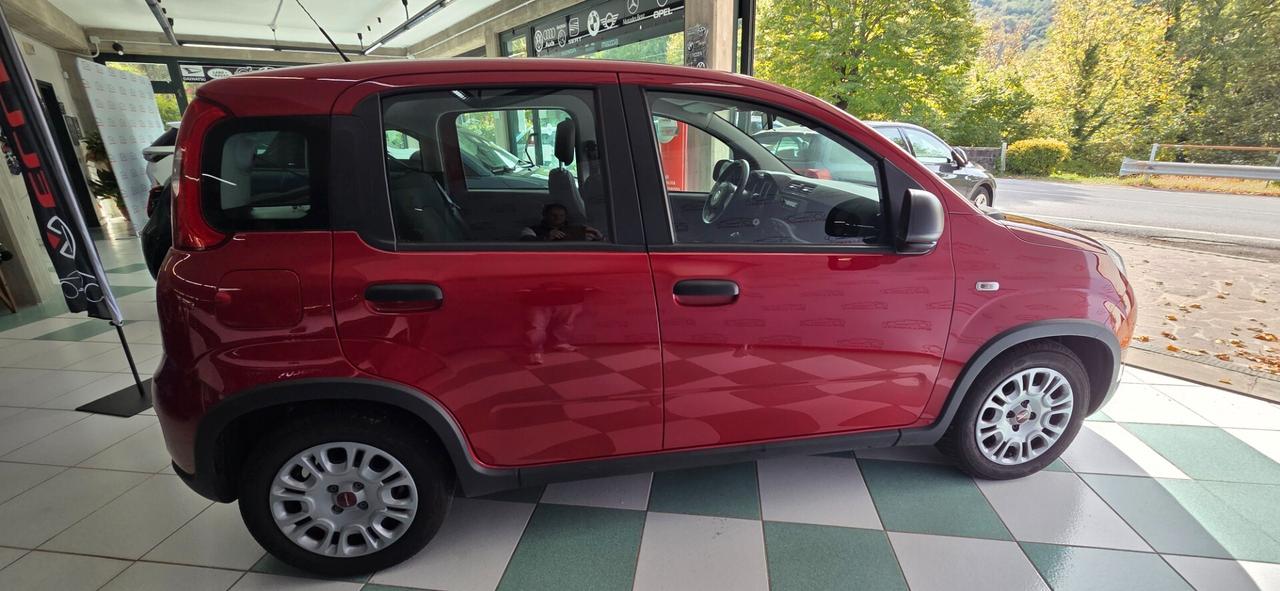 Fiat Panda Cross 1.0 FireFly S&S Hybrid