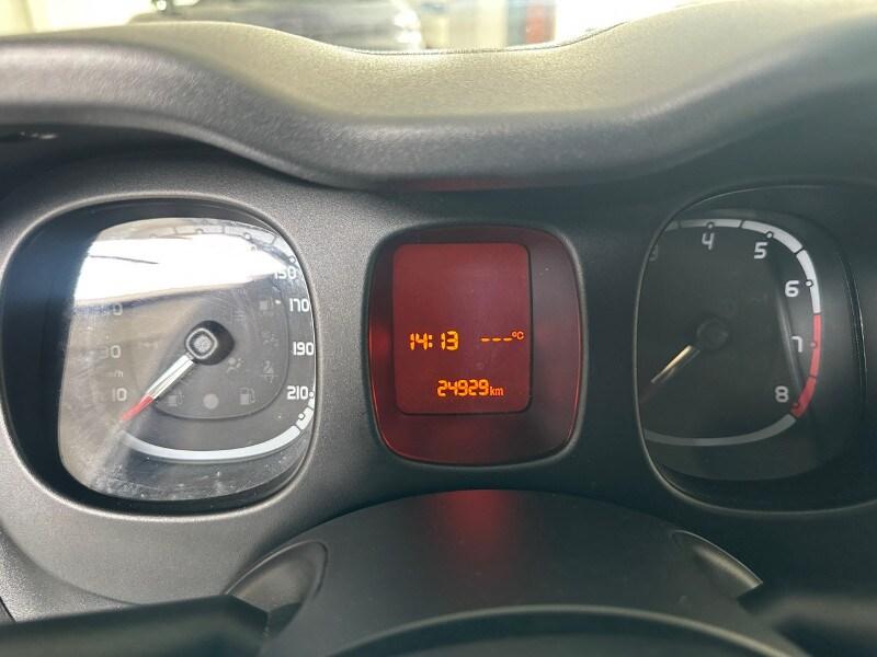 FIAT Panda 3ª serie Panda 1.2 City Cross