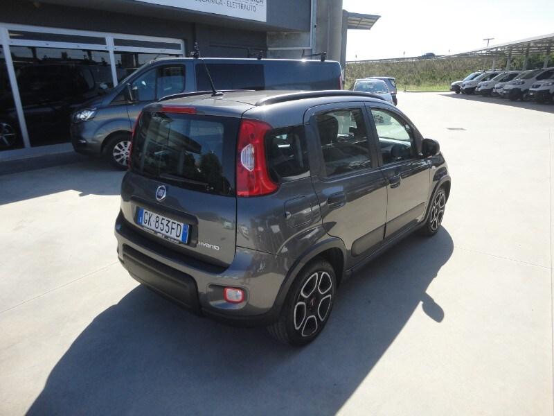 FIAT Panda 3ª serie Panda 1.0 FireFly S&S Hybr...