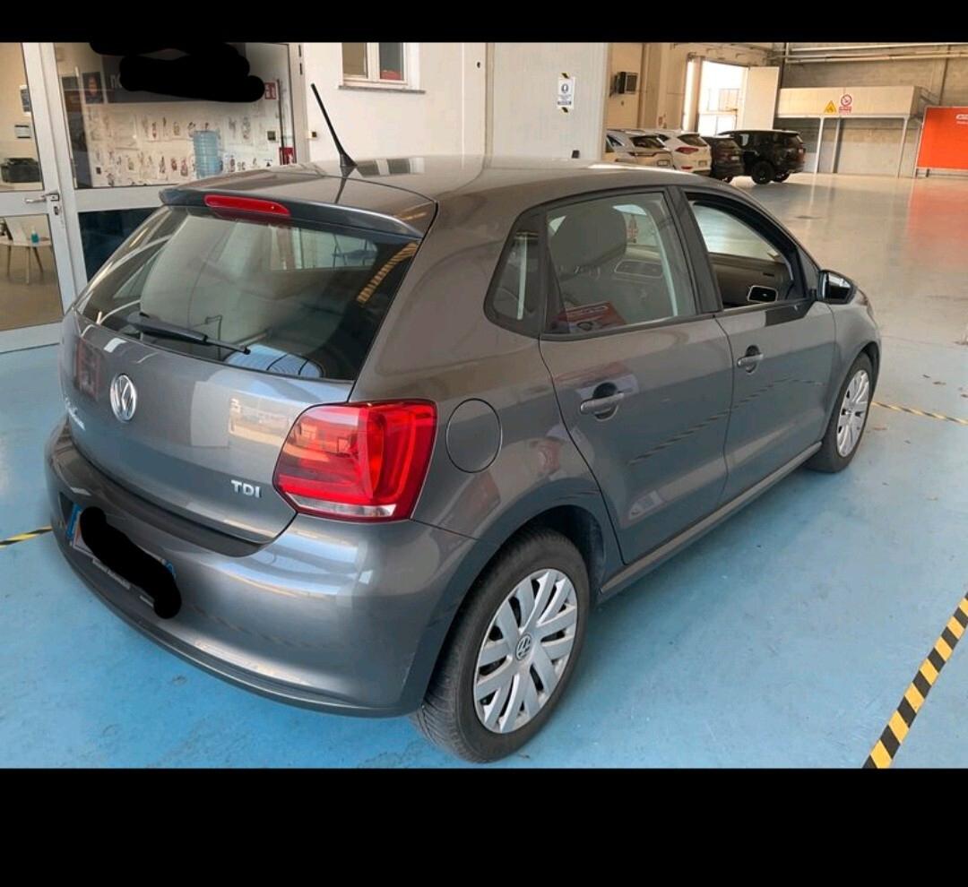 Volkswagen Polo 1.6 TDI 90CV 2013