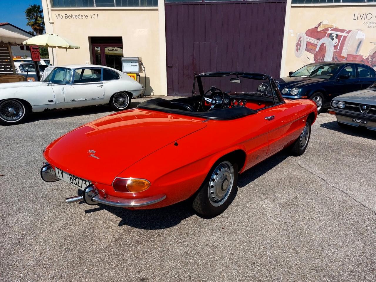 Alfa Romeo Spider Duetto 1600 Osso di Seppia del 1966