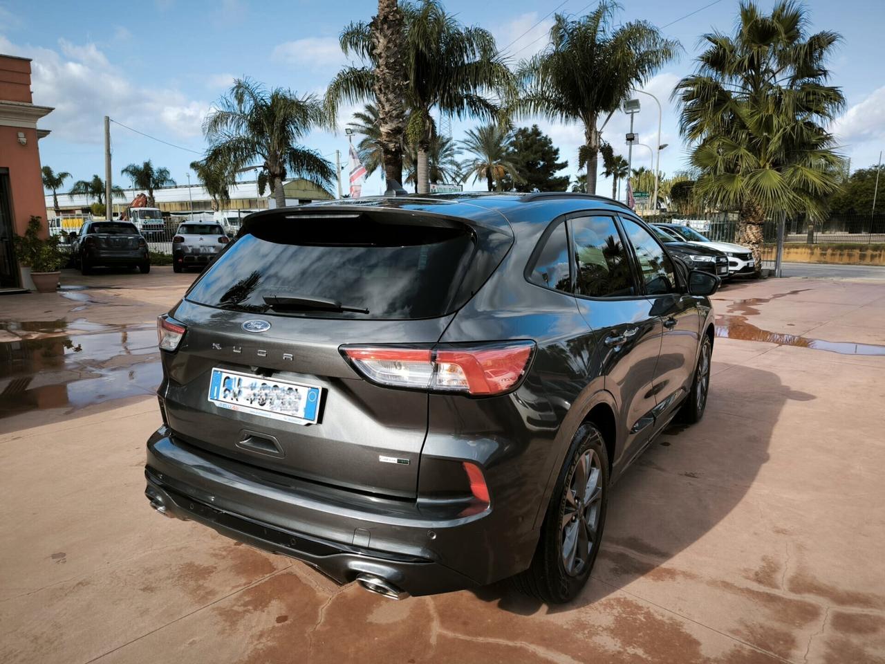 Ford Kuga 2.0 EcoBlue Hybrid 150 CV 2WD ST-Line