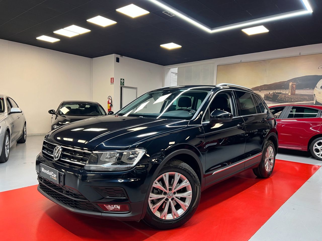 Volkswagen Tiguan 1.6 tdi Business 115cv