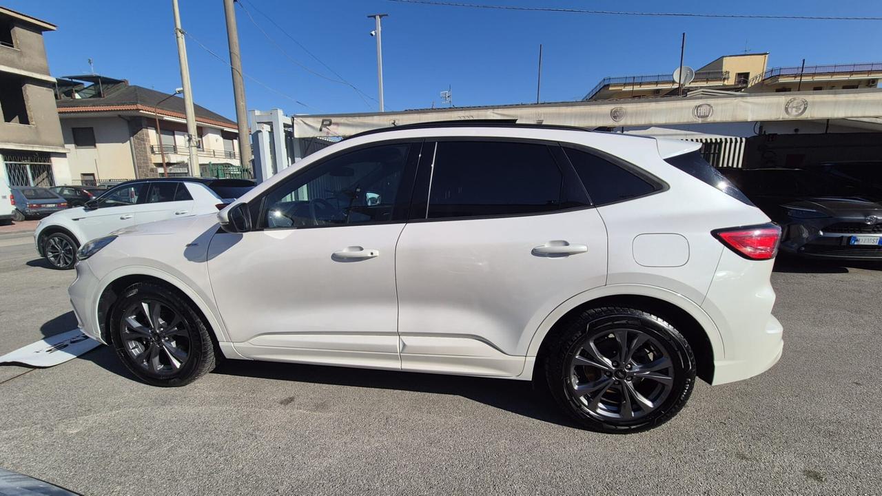 Ford Kuga 1.5 EcoBlue 120 CV aut. 2WD ST-Line X