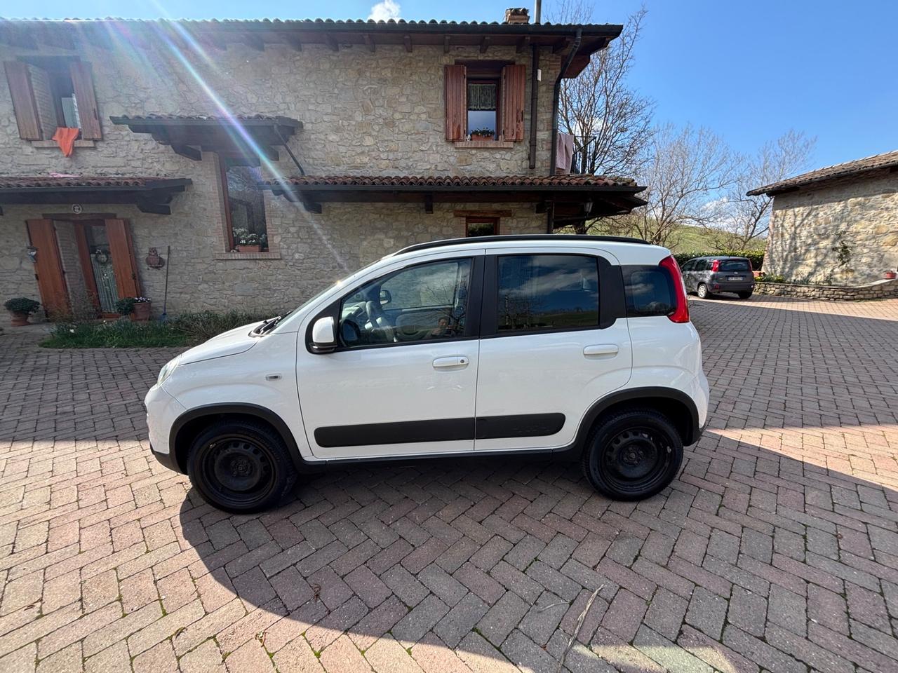 Fiat Panda 1.3 MJT S&S 4x4 Lounge Van 2 posti
