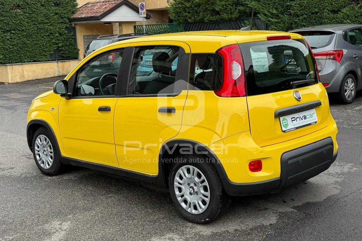 FIAT Panda 1.0 FireFly S&S Hybrid Pandina