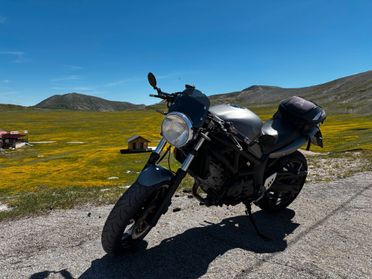Cafe Racer su base Suzuki sv650 caffè ,scambler