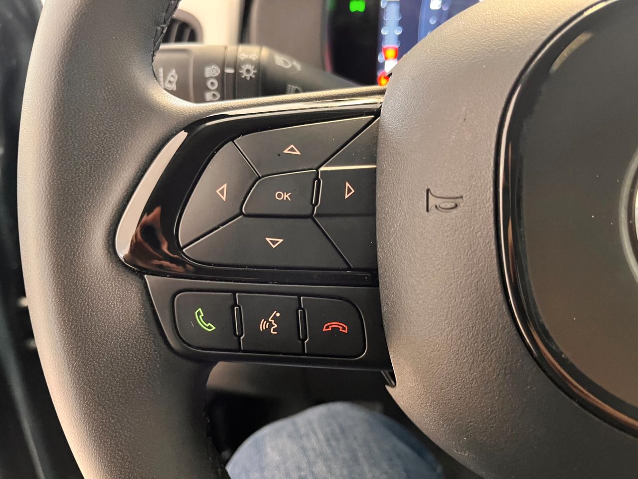 Fiat Panda Cross 1.0 FireFly S&S Hybrid