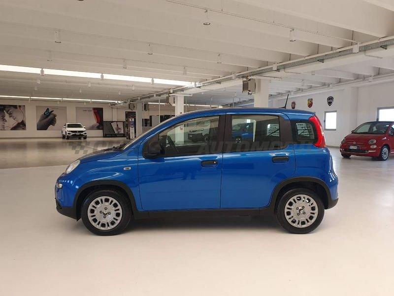 FIAT Panda 1.0 70cv Hybrid Panda