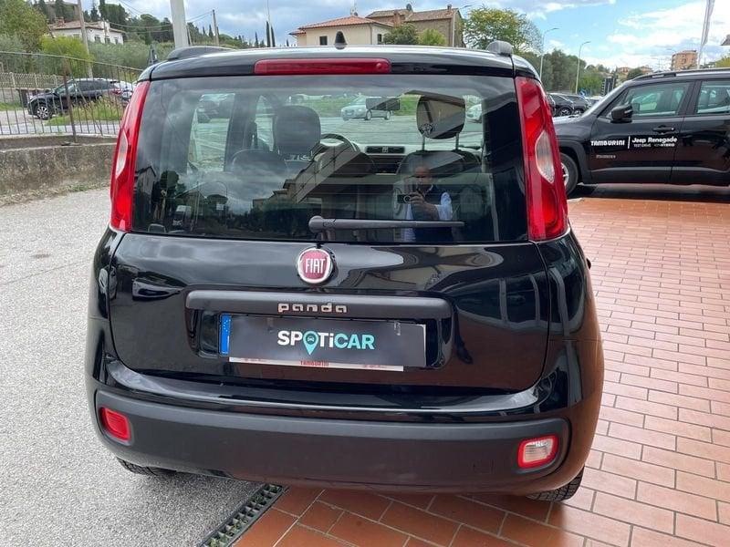 FIAT Panda Panda 1.2 Lounge