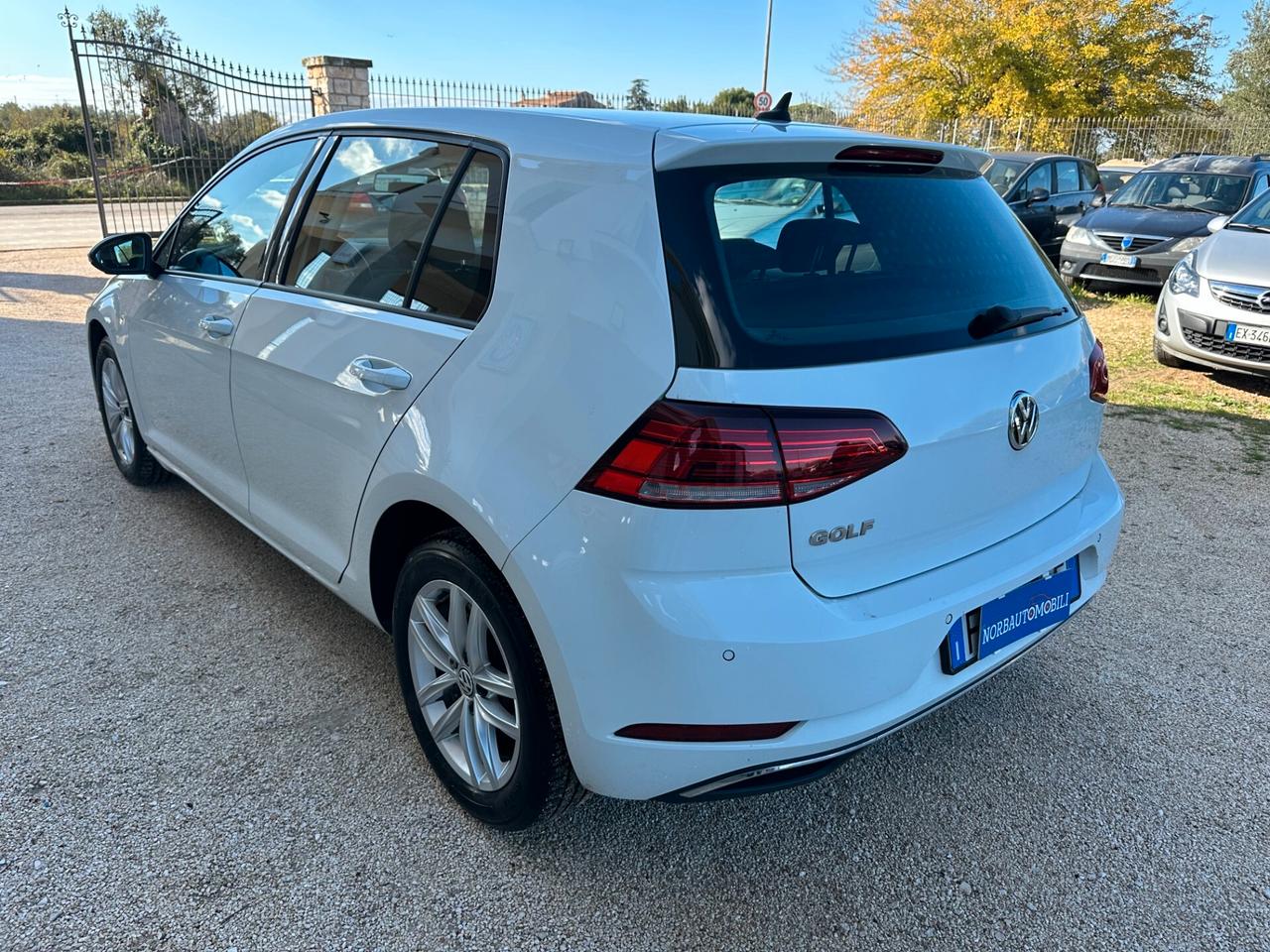 Volkswagen Golf 1.6 TDI 115 CV 5p.BlueMotion Technology 2019