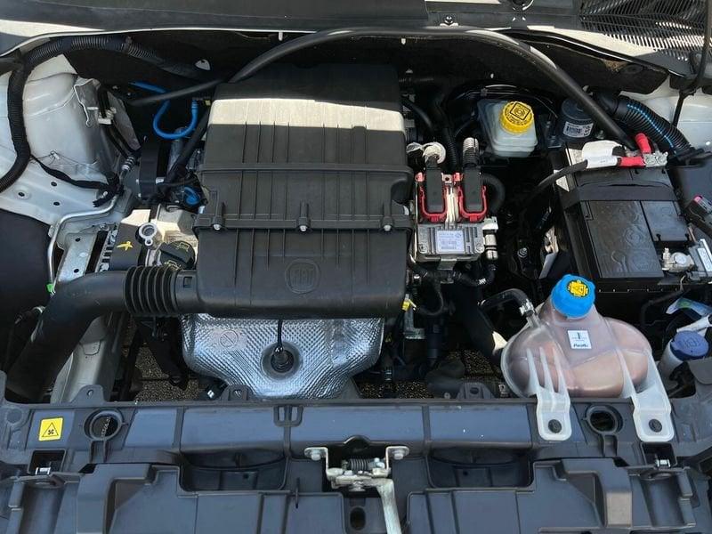 FIAT Punto Punto Evo 5p 1.2 Active s&s