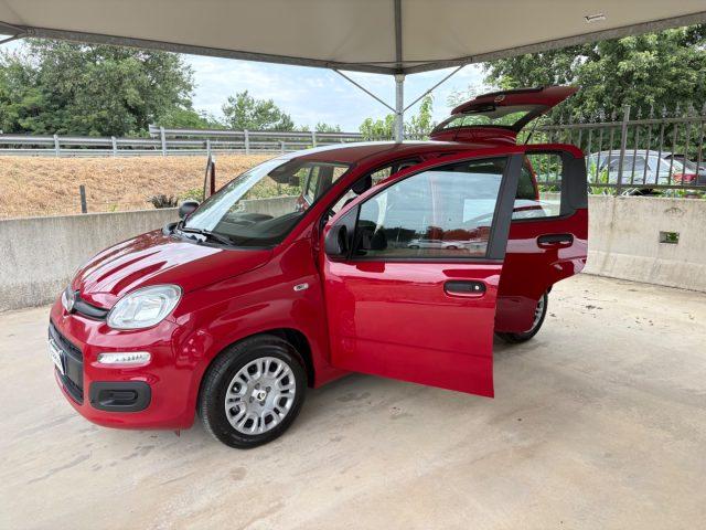 FIAT Panda 1.0 FireFly S&S IBRIDA COME NUOVA