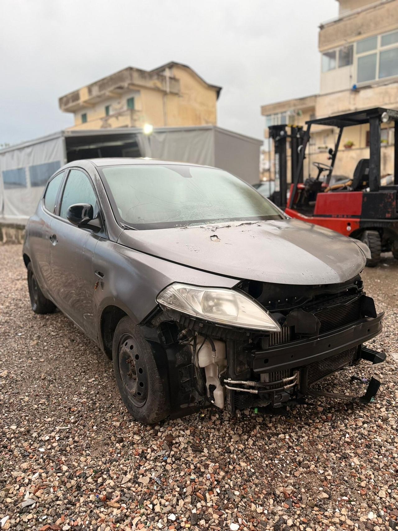 Lancia Ypsilon 1.3 MJT 16V 95 CV 5 porte S&S Platinum